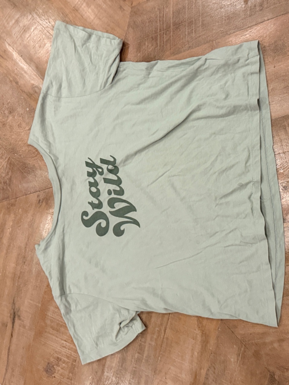 Stay Wild Short Sleeve Tee - Mint Green